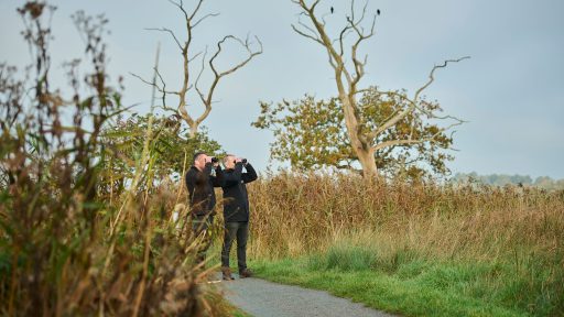 Carlton Marshes